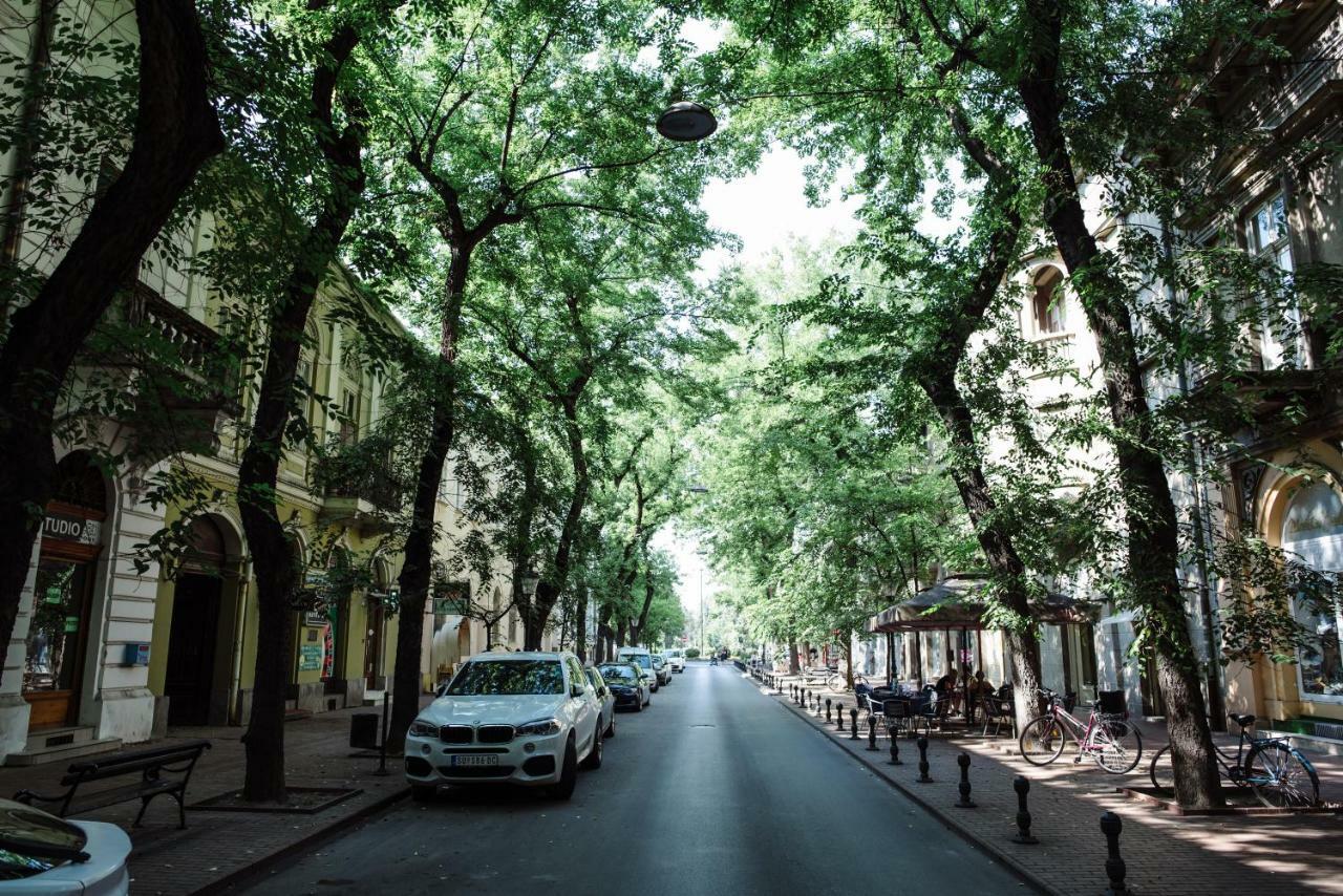 Apartman Donner Centar IV Subotica Zewnętrze zdjęcie